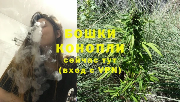 шишки Строитель