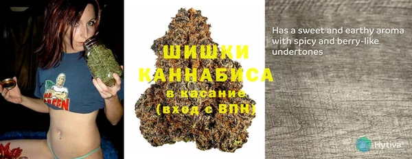 spice Белокуриха