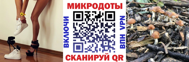даркнет сайт  Давлеканово  MEGA ссылка  Псилоцибиновые грибы мухоморы 